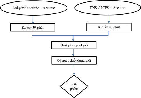 Hình 2 10 Quy trình tổng hợp PNS APTES Succinic Anhydride PNS APTES COOH 12