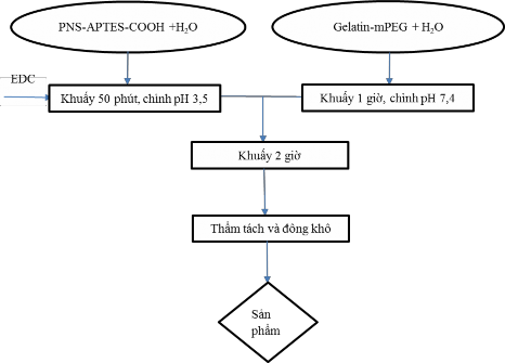 Hình 2 14 Qui trình tổng hợp PNS APTES COOH GEL mPEG Sau khi quá trình tổng hợp hoàn 6