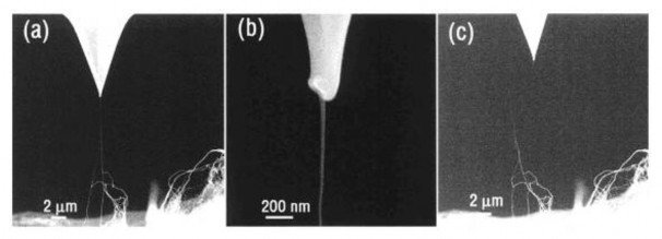 Hình 1 9 Hình ảnh SEM cho thấy a Sợi CNTs căng tải giữa đầu mút AFM và mẫu 1