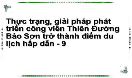 Những Sự Kiện Nổi Bật Tổ Chức Năm 2010 Và 2011