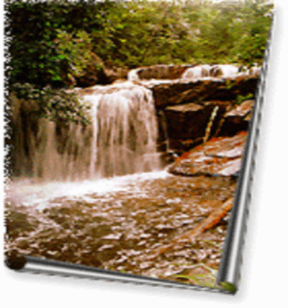 SUỐI TRANH PHÚ QUỐC 6 CÁC TUYẾN DU LỊCH SINH THÁI ĐIỂN HÌNH CỦA VÙNG ĐỒNG 1