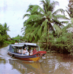 DU LÒCH SINH THAÙI  Loại hình hệ sinh thái rừng có 2 điểm đó là rừng tràm 4