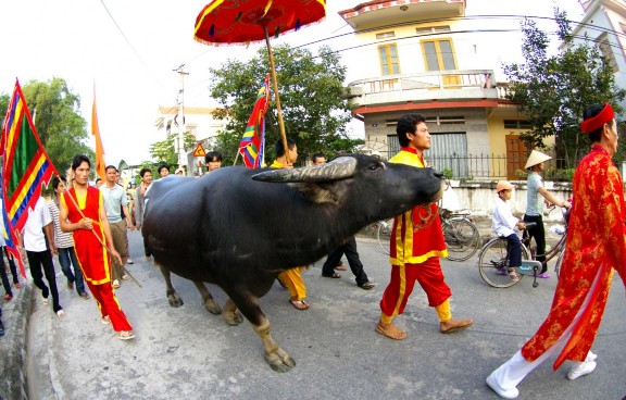 lễ hội chọi trâu đảo dáu biển đồ sơn khu di tích tháp tường long 2