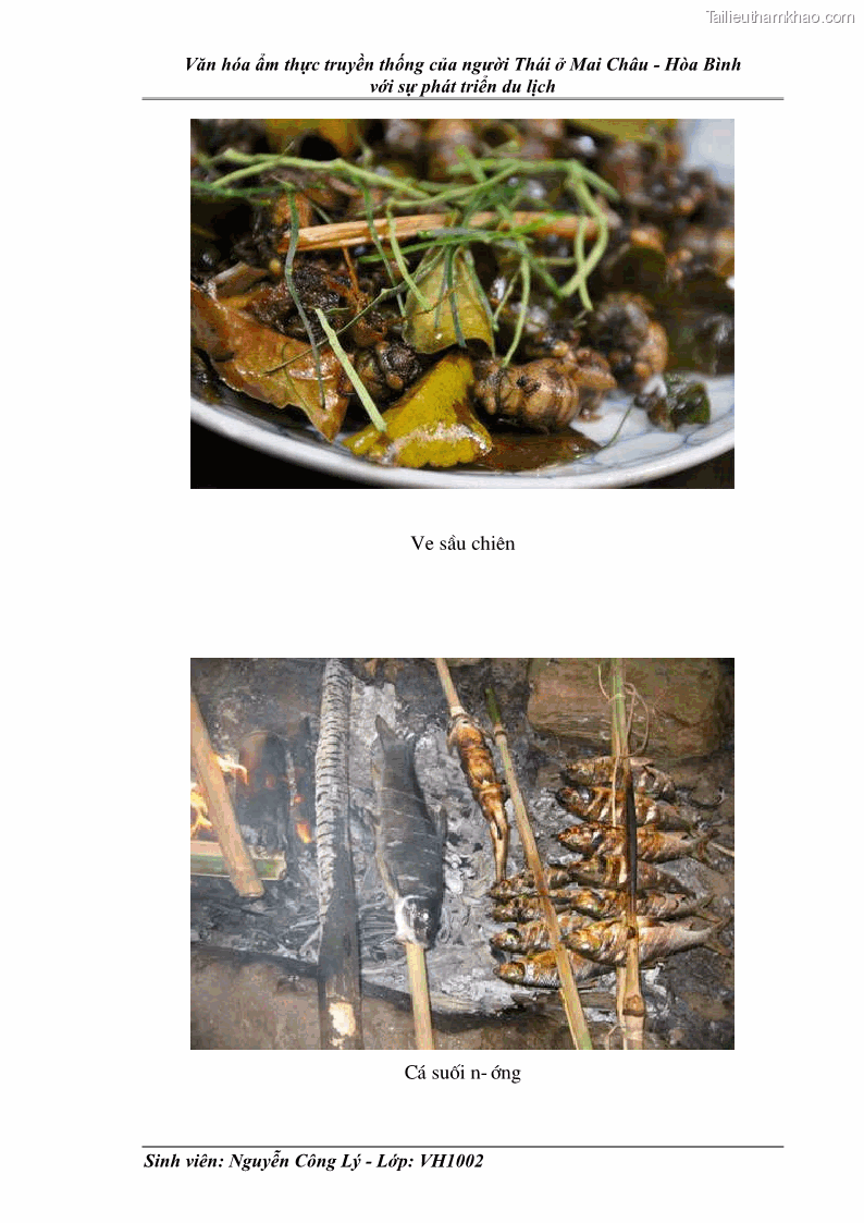 Khóa luận tốt nghiệp văn hóa du lịch Văn hóa ẩm thực truyền thống của người Thái ở Mai Châu - Hòa Bình với sự phát triển du lịch - 13 Trang 97
