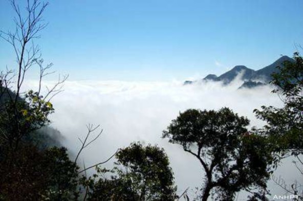 Mai Châu buổi sớm Ruộng bậc thang ở Mai Châu Thung lũng Mai Châu nhìn từ trên cao 1