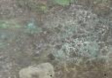 Sách đồng tìm thấy ở tháp Tôn Đức 10