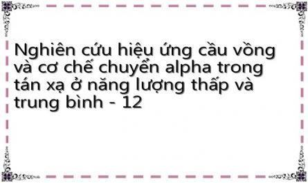 Nghiờn Cựu Hiằu Ựng Cưu Vỗng Hôt Nhõn Trong Tỏn Xô Hôt 12C−12C Và 16O−12C