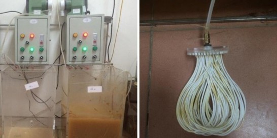 Hình 2 12 Hình ảnh bể và modun màng sợi rỗng được sử dụng trong hệ MBR 13
