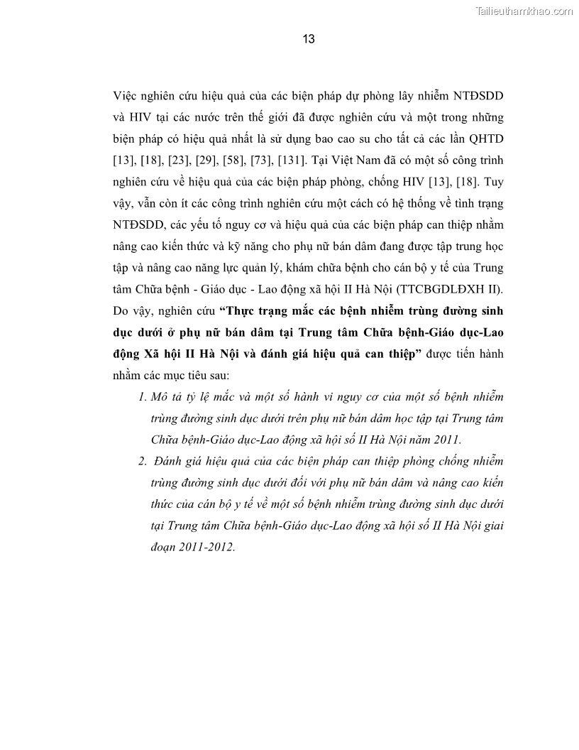 Luận án tiến sĩ y học Thực trạng mắc các bệnh nhiễm trùng đường sinh dục dưới ở phụ nữ bán dâm tại Trung tâm Chữa bệnh-Giáo dục-Lao động Xã hội số II Hà Nội và đánh giá hiệu quả can thiệp - 3 Trang 13