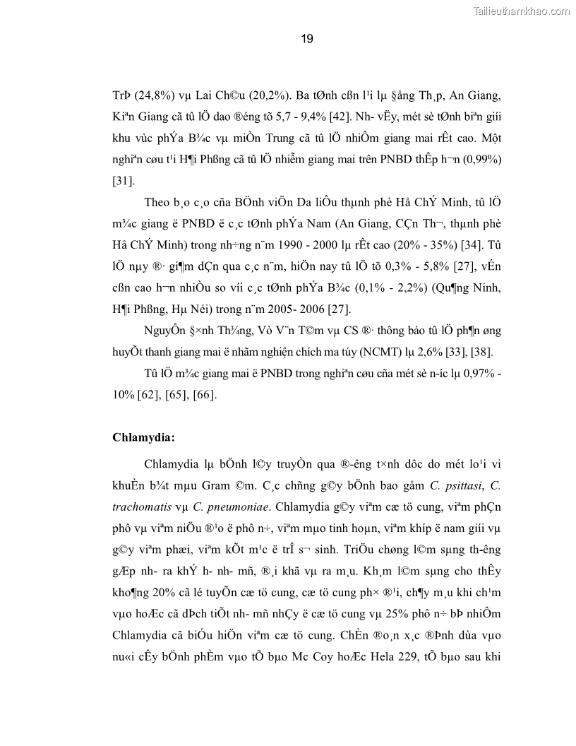 Luận án tiến sĩ y học Thực trạng mắc các bệnh nhiễm trùng đường sinh dục dưới ở phụ nữ bán dâm tại Trung tâm Chữa bệnh-Giáo dục-Lao động Xã hội số II Hà Nội và đánh giá hiệu quả can thiệp - 4 Trang 19