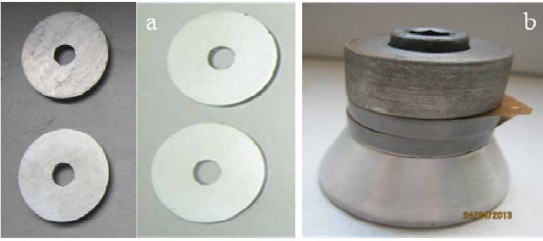 Hình 4 28 Dạng hình học của biến tử xuyến a và biến tử ghép theo kiểu 1