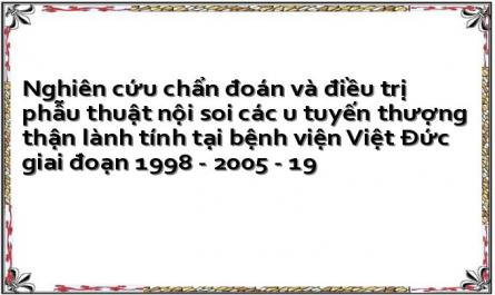 Nguyễn Đức Tiến (2002), “Nghiên Cứu Ứng Dụng Mổ Nội Soi Qua Phúc Mạc Các U Tuyến Thượng