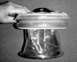 Lan C Bennet C và Ray M mô tả năm 2002 95 Phạm vi ứng dụng của phương pháp 1