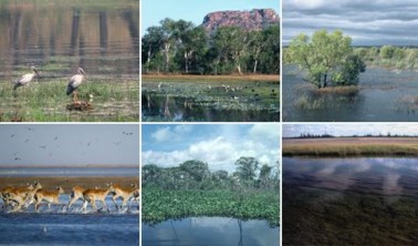 Chúng tôi đến từ trường Đại học Kinh tế quốc dân Hà nội và đang thực 1