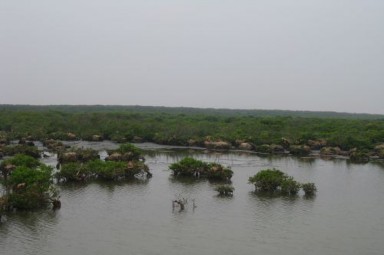 Giá trị kinh tế của tài nguyên đất ngập nước tại cửa sông Ba Lạt tỉnh Nam Định 25 3