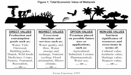 Tổng giá trị kinh tế của đất ngập nước Giá trị sử dụng trực tiếp Sản 1