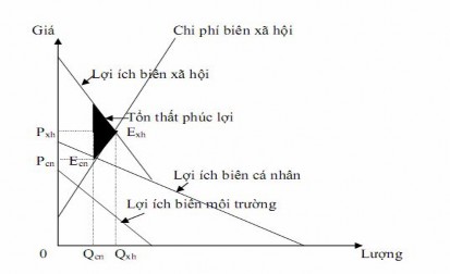 Hình 1 9 Ngoại ứng tích cực và sự thất bại thị trường Nguồn 6 1 4 3 1