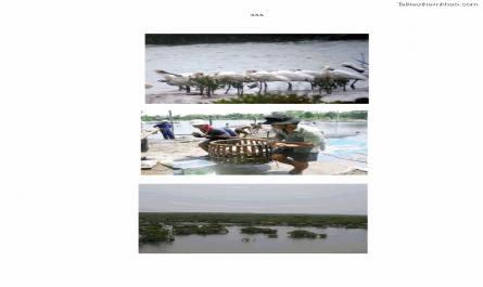 Luận án tiến sĩ kinh tế Giá trị kinh tế của tài nguyên đất ngập nước tại cửa sông Ba Lạt tỉnh Nam Định - 33