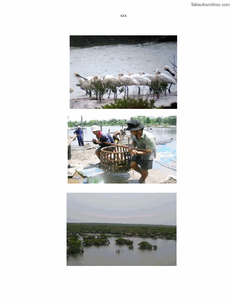 Luận án tiến sĩ kinh tế Giá trị kinh tế của tài nguyên đất ngập nước tại cửa sông Ba Lạt tỉnh Nam Định - 33 Trang 193