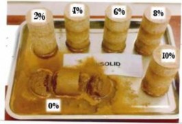 Hình 3 12 Diễn biến mẫu sau 1 giờ ngâm nước Sau 20 ngày ngâm liên tục trong 1