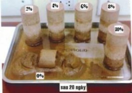 Hình 3 13 Diễn biến mẫu sau 20 ngày ngâm nước c 2 Thí nghiệm nén một trục có 2