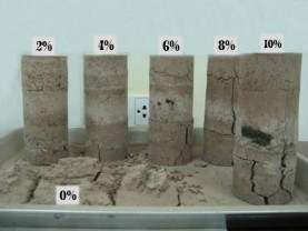 Hình 3 21 Diễn biến mẫu sau 3 tháng để khô tự nhiên Kết quả cho thấy mẫu 4
