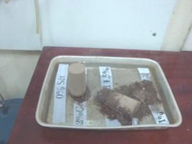 Hình 3 22 Thí nghiệm rã chân mẫu đất cát có sử dụng phụ gia 5