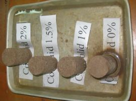 Hình 3 23 Thí nghiệm đánh giá độ rã chân sập mẫu Hình 3 24 là diễn biến 1