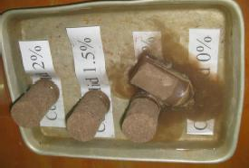 Hình 3 24 Các mẫu sau 15 phút đổ nước Hình 3 25 quan sát mẫu sau 30 ngày ngâm 2