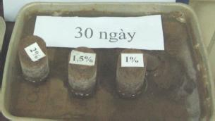 Hình 3 25 Các mẫu sau 30 ngày ngâm nước Một số đặc điểm của mẫu khi quan 3