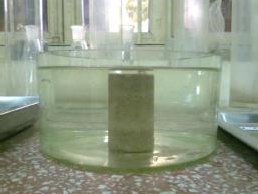 a Ngâm mẫu ngập hoàn toàn b Vớt mẫu để khô tự nhiên c Ngâm mẫu ngập trở 4