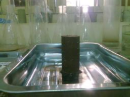 a Ngâm mẫu ngập hoàn toàn b Vớt mẫu để khô tự nhiên c Ngâm mẫu ngập trở 5