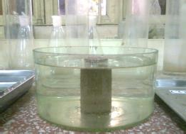 c Ngâm mẫu ngập trở lại d Mẫu sau khi phơi nắng 5 giờ Hình 3 26 Một số 6