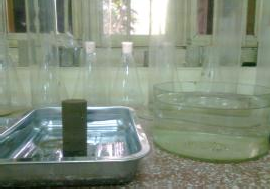 c Ngâm mẫu ngập trở lại d Mẫu sau khi phơi nắng 5 giờ Hình 3 26 Một số 7