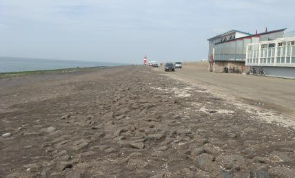 Hình 1 6 Kè đê biển đá xếp phủ nhựa đường c Thảm bê tông Các cấu kiện 1