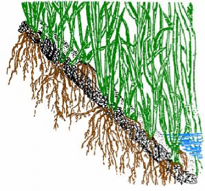 Hình 1 16 Thảm cỏ chống xói mái đê b Thảm ba chiều bằng sợi tổng hợp 10