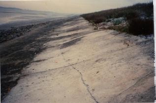 Hình 1 22 Kè lát mái bằng bê tông đổ tại chỗ Kè bê tông lắp ghép tấm 5