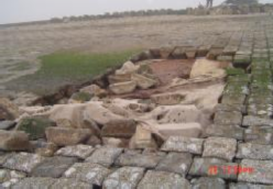 Hình 1 29 Tấm lát mái đê biển bị lún sụt Hình 1 30 Tấm lát mái đê biển 2