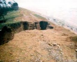 Hình 1 33 Mái đê biển phía đồng bị sóng tràn qua Hình 1 34 Đê biển đắp 6