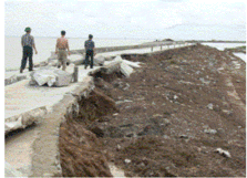 Hình 1 36 Đê biển Hải Phòng được cứng hoá bề mặt chống sóng tràn Hình 9