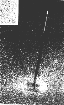 a Lực kéo tấm xoắn thẳng đứng b Lực kéo tấm xoắn xiên 20 0 Hình 2 12 4