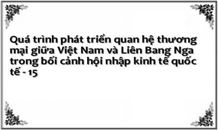 Mặt Hàng Nhập Khẩu Chủ Yếu Của Việt Nam Từ  Liên Bang Nga Giai Đoạn 1997 - 2005