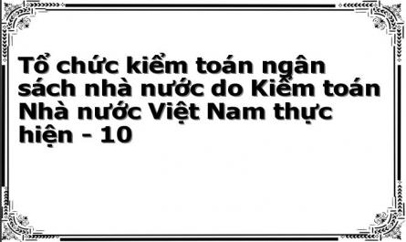 Tổ chức kiểm toán ngân sách nhà nước do Kiểm toán Nhà nước Việt Nam thực hiện - 10