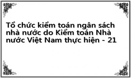 Tổ chức kiểm toán ngân sách nhà nước do Kiểm toán Nhà nước Việt Nam thực hiện - 21