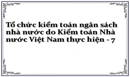 Tổ chức kiểm toán ngân sách nhà nước do Kiểm toán Nhà nước Việt Nam thực hiện - 7