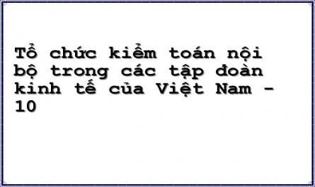 Tổ chức kiểm toán nội bộ trong các tập đoàn kinh tế của Việt Nam - 10