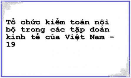 Tổ chức kiểm toán nội bộ trong các tập đoàn kinh tế của Việt Nam - 19