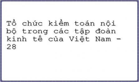 Tổ chức kiểm toán nội bộ trong các tập đoàn kinh tế của Việt Nam - 28