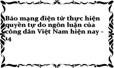 Báo mạng điện tử thực hiện quyền tự do ngôn luận của công dân Việt Nam hiện nay - 14