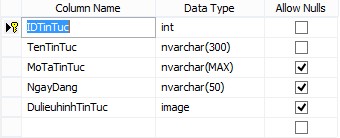 Bảng LuotTruyCap Bảng này chứa một trường LuotTruyCap dùng để lưu số người 13
